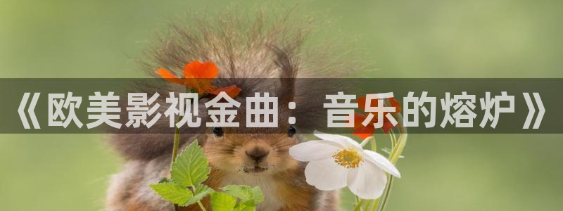 最新光棍影院：《欧美影视金曲：音乐的熔炉》