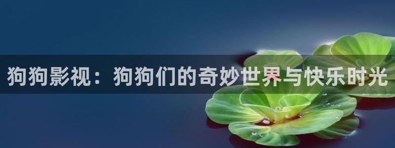 光光棍影院：狗狗影视：狗狗们的奇妙世界与快乐时光