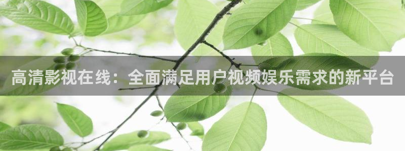 年轻的姐夫光棍影院：高清影视在线：全面满足用户视频娱乐需求的新平台