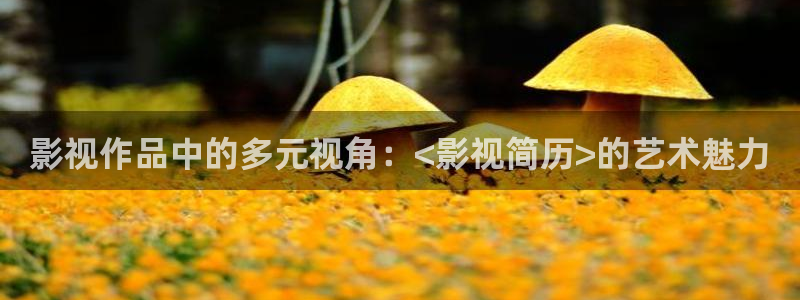 光棍影院_光棍影院手机在线观看_光棍电影网：影视作品中的多元视角：<影视简历>的艺术魅力