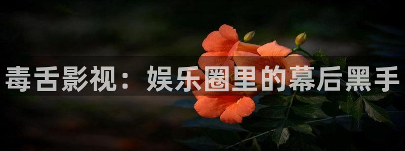 光棍影院秋霞电影：毒舌影视：娱乐圈里的幕后黑手